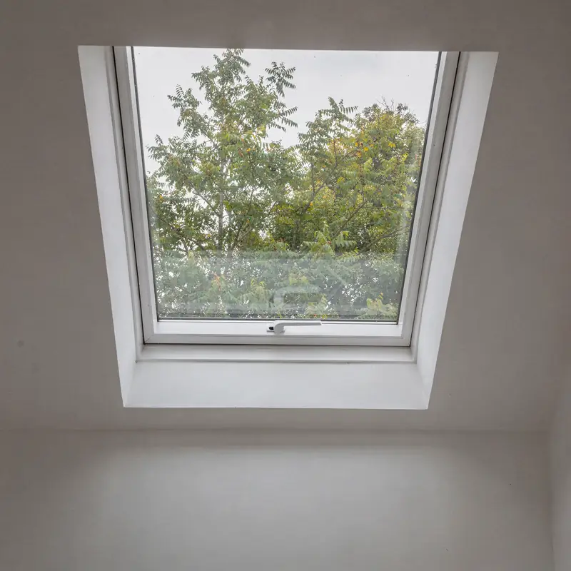 Trees and sky seen through a double glazed flat rooflight